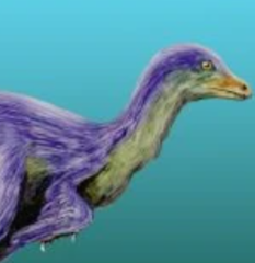 Zzzzz 1735790360tianyuraptor — criaturas de la prehistoria option 645