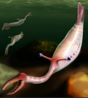 Zzzzz 1735790360tullimonstrorum — criaturas de la prehistoria option 657