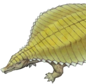 Zzzzz 1736204717paratyphotorax — criaturas de la prehistoria option 621
