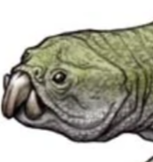 Zzzzz 1736437129captura De Pantalla 2025 01 09 093143 — criaturas de la prehistoria option 637