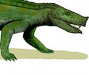 Zzzzz 1736437129zulmasuchus — criaturas de la prehistoria option 656