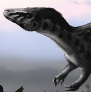 Zzzzz 1736740543murusraptor — criaturas de la prehistoria option 620