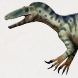 Zzzzz 1736740543rapator — criaturas de la prehistoria option 651