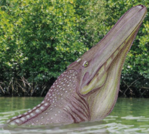 Zzzzz 1736740543stomatosuchus — criaturas de la prehistoria option 668