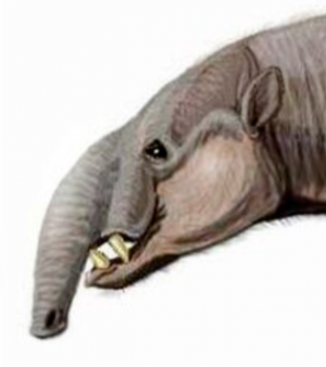 Zzzzz 1737270114hilarcotherium — criaturas de la prehistoria option 634