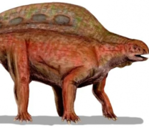 Zzzzz 1775045076lotosaurus — criaturas de la prehistoria option 663