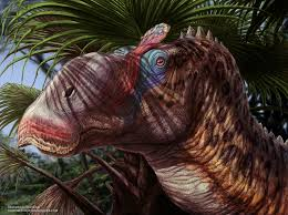 Zzzzz 1775045077ornatops — criaturas de la prehistoria option 664