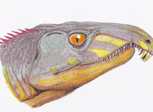 Zzzzz 1775045408archosaurus — criaturas de la prehistoria option 609