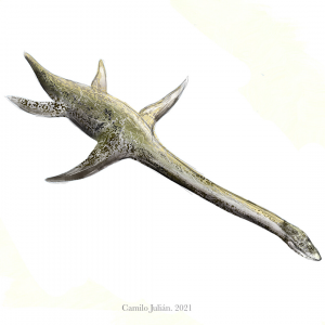 Zzzzz 1775045408fluvionectes — criaturas de la prehistoria option 665