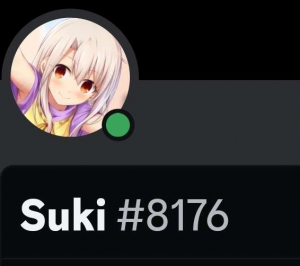 Screenshot20231029020010discord — us politics users option 26