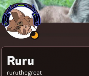 Screenshot20231029020205discord — us politics users option 34
