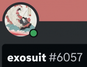 Screenshot20231029020235discord — us politics users option 35
