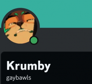 Screenshot20231029020431discord — us politics users option 42