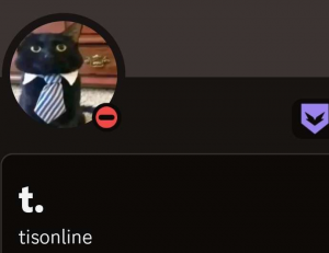 Screenshot20231029020515discord — us politics users option 45