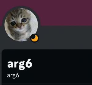 Screenshot20231029021039discord — us politics users option 59