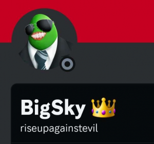 Screenshot20231029021338discord — us politics users option 66