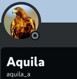 Screenshot20231029022043discord — us politics users option 76