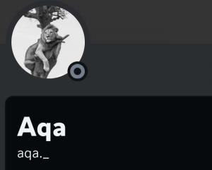 Screenshot20231029022111discord — us politics users option 78
