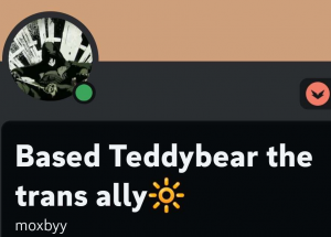 Screenshot20231029023027discord — us politics users option 92