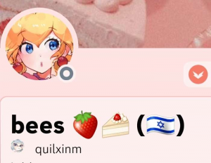 Screenshot20231029023359discord — us politics users option 103