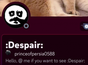 Screenshot20231029025316discord — us politics users option 112
