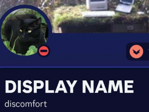 Screenshot20231029030202discord — us politics users option 120
