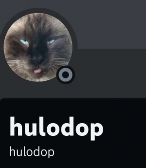 Zzzzz 1698607948screenshot20231029153025discord — us politics users option 165