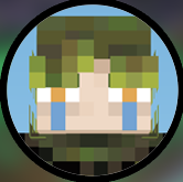 Anti — Elysian SMP option 4