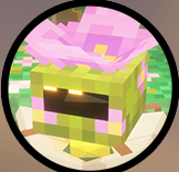 Wed — Elysian SMP option 58