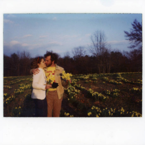 Zzzzz 17263452193lovesongs — Albums option 139