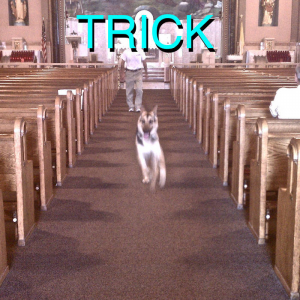 Zzzzz 1726411260trick — Albums option 140
