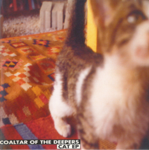 Zzzzz 1729801031cat — Albums option 148
