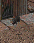 A3png — RPG Companions option 3