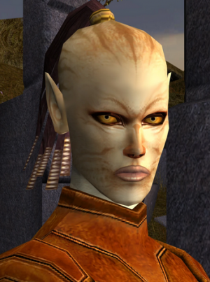 D7png — RPG Companions option 42
