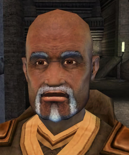 D9png — RPG Companions option 44