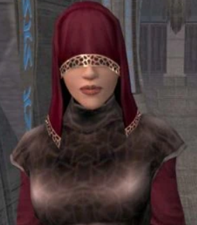 E5png — RPG Companions option 50