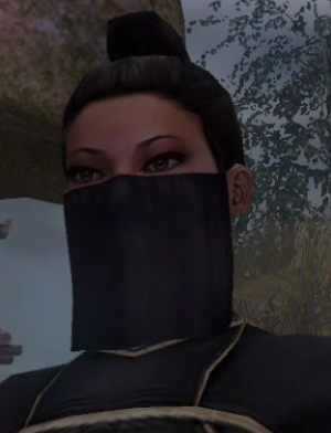 F9png — RPG Companions option 63