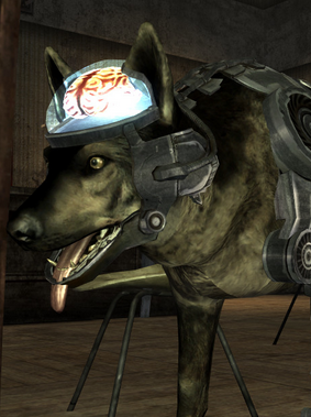 J8png — RPG Companions option 107