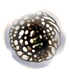 Fragilegreed — Hollow knight | Charms tier list option 9