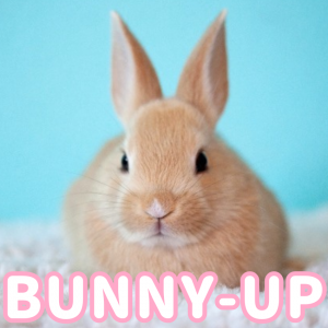 615 Sin Ttulo20231105105202 — Types of Furry ears! option 10