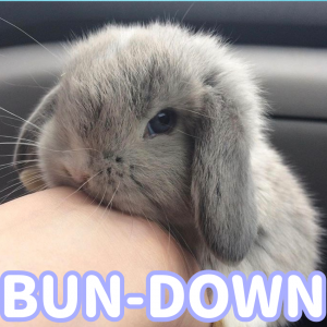 615 Sin Ttulo20231105105258 — Types of Furry ears! option 11