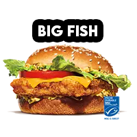 B14 — Burger de Burger King FR option 6
