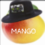 Zzzzz 17137115441000006228 — Royal pear option 149