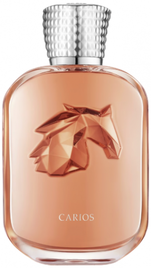 Zzzzz 1767063769screenshot 2025 12 29 At 100029pm — 658 Men's Fragrances option 428