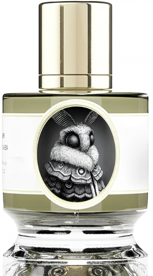 Zzzzz 1767110210screenshot 2025 12 30 At 103817am — 658 Men's Fragrances option 614