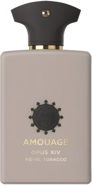 Zzzzz 1774200668screenshot 2026 03 22 At 132143 — 658 Men's Fragrances option 556