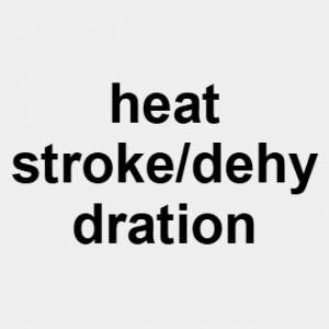 Image 24 — Cause of Death (46+) option 18