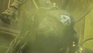 Zzzzz 1710208288img8891 — Magicord community boss tier list option 186