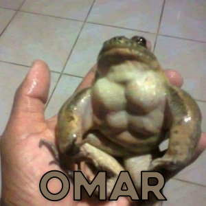 Zzzzz 1753785864omar — VV option 7