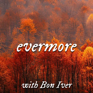 T Swift All Songs 188 — folklore & evermore Ranker option 33